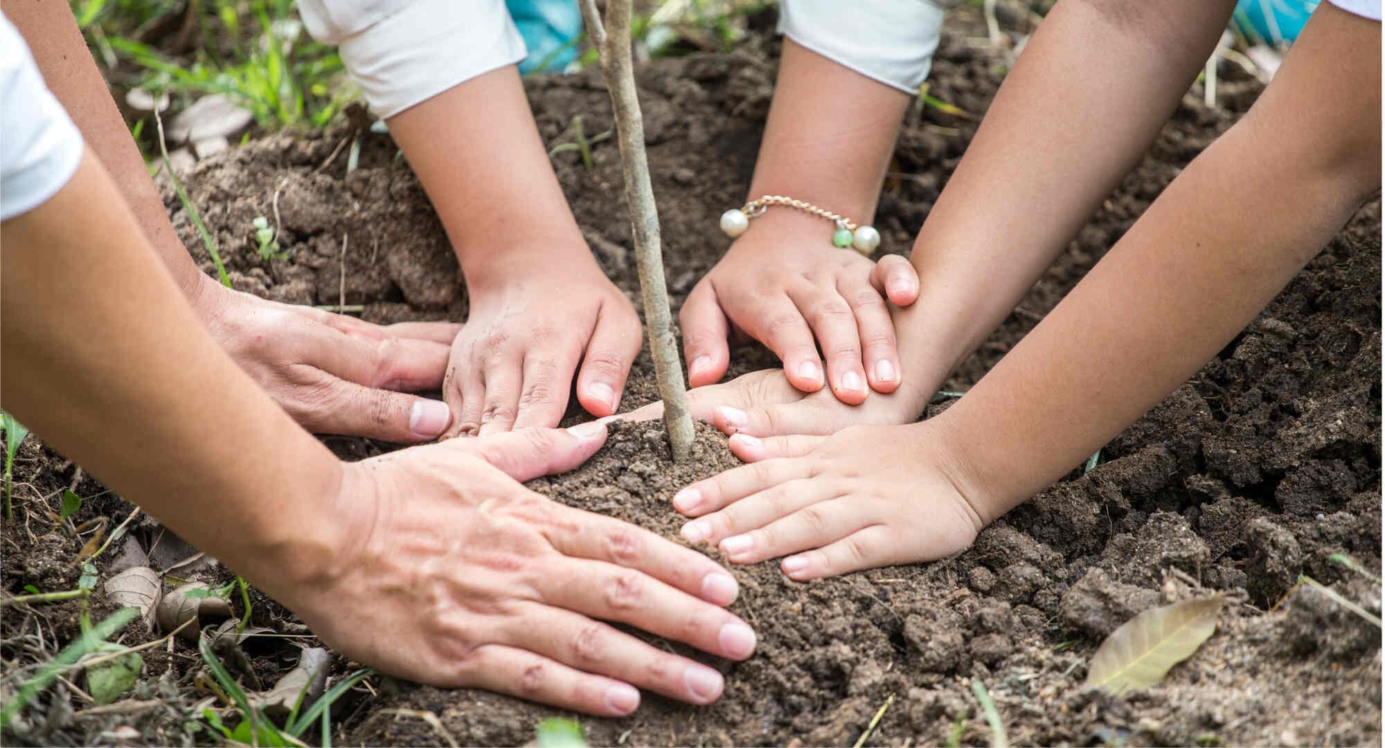 Energieberater Frankfurt am Main
